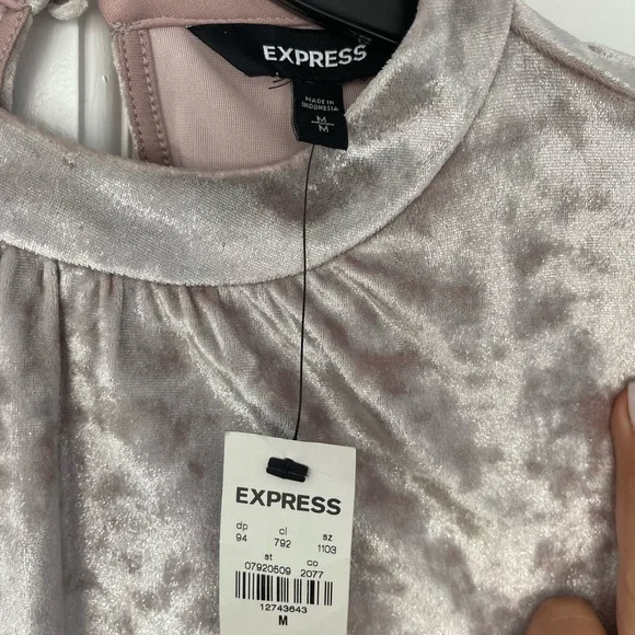 Express Crushed Velvet Cold Shoulder Dress - Picture 6 of 9